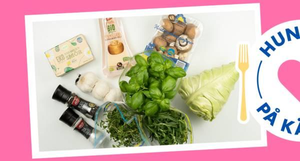 Rasmus spetskål med skogschampinjoner