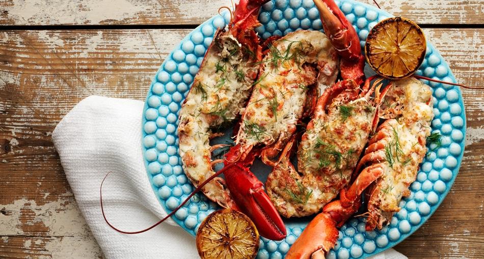 Parmesangratinerad hummer med fänkål