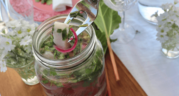 Inlagd sill med rabarber och färsk koriander